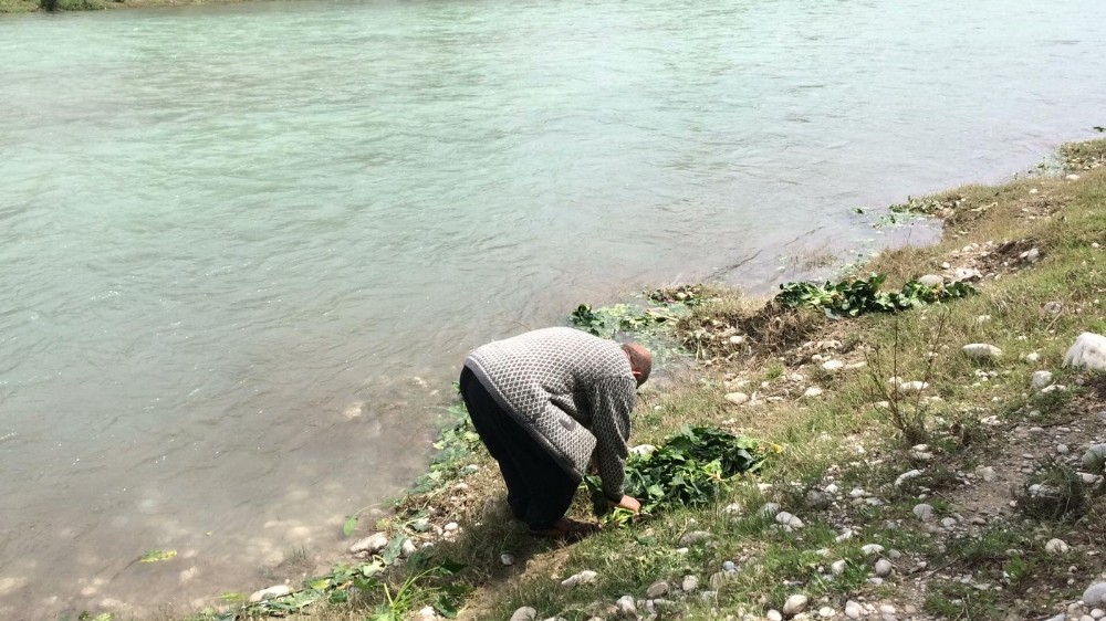Savrun çayında şaşırtan görüntü 