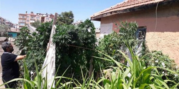 Savunması güldürdü... Domates sanıyormuş!