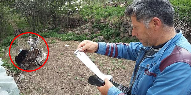 Sayaç okumak için gitti, hayatının şokunu yaşadı! 'Böylesiyle ilk kez...'