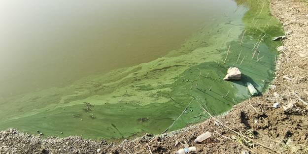 Sazlıdere Barajı'nda endişelendiren görüntü