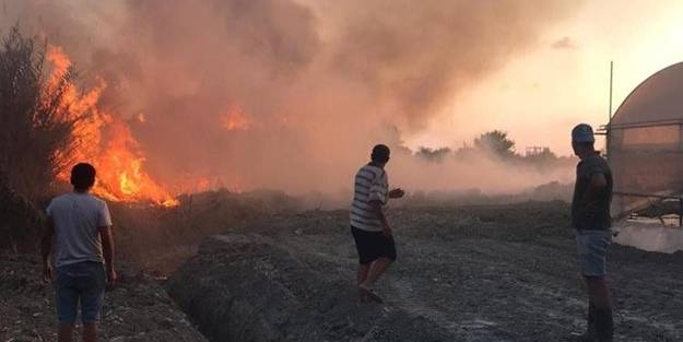 Sazlık alanda korkutan yangın