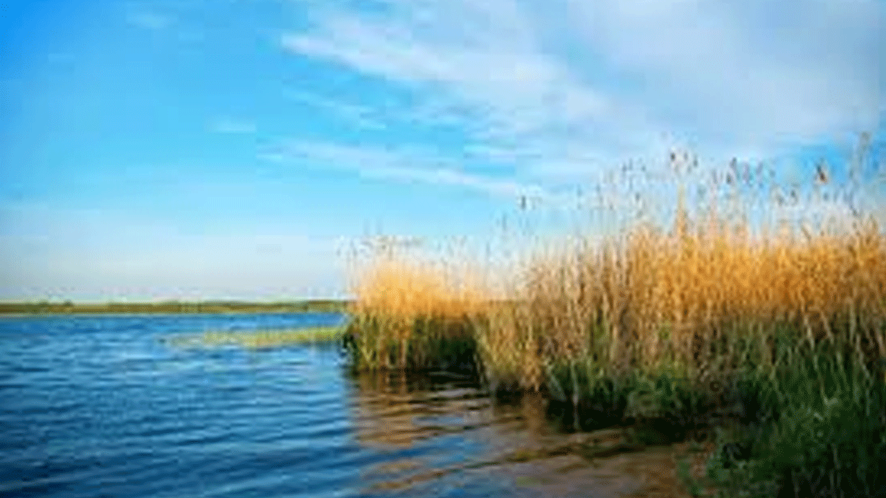 Sazlıklarla ilgili ölümcül uyarı