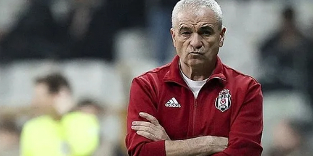 Sebebi ise herkesi şaşırttı: Hepsi bir anda telef oldu… 36 yıl sonra bir ilki yaşadı...