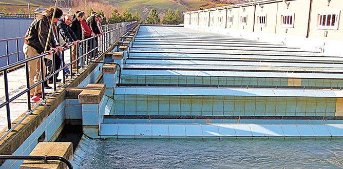 Bakanlık'tan şebeke suları açıklaması