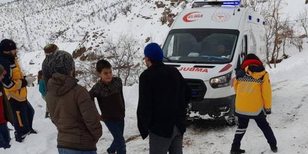 Şebo dede için seferber oldular!