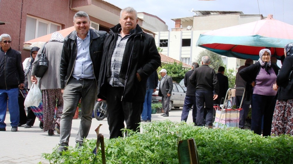 Sebze fidanına akın 