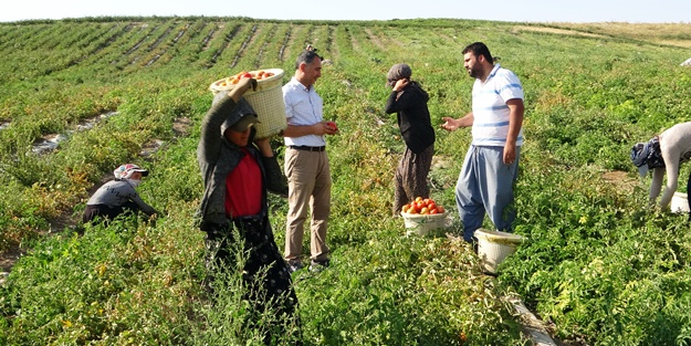 Sebze ve meyvedeki verim çiftçinin yüzünü güldürdü!