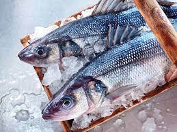 Seçtiğimiz balığın taze olduğunu nasıl anlarız?