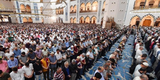 SED yardım başvuru nedir ve nasıl yapılır?
