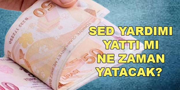 SED yardımı ne zaman yatacak? Kasım SED yardımı yattı mı? SED yardım sorgulama ekranı