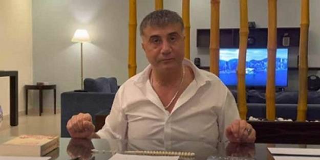 Sedat Peker suç örgütüne operasyon! Gözaltılar var