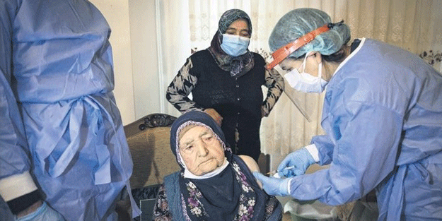 Şefkat farkı! Türkiye'de evde aşı, Avrupa'da eziyet