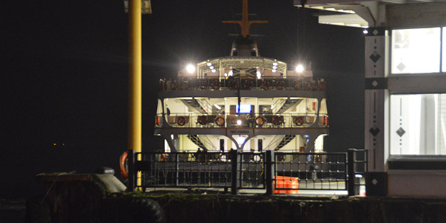 Şehir Hatları sahipsiz köpeğin bindiği vapurda yaşananlarla ilgili inceleme başlattı