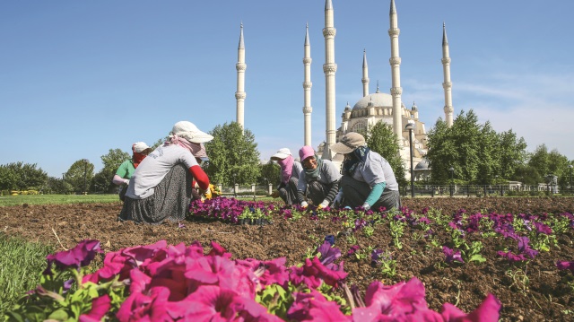 Şehir kadınların eliyle güzelleşiyor