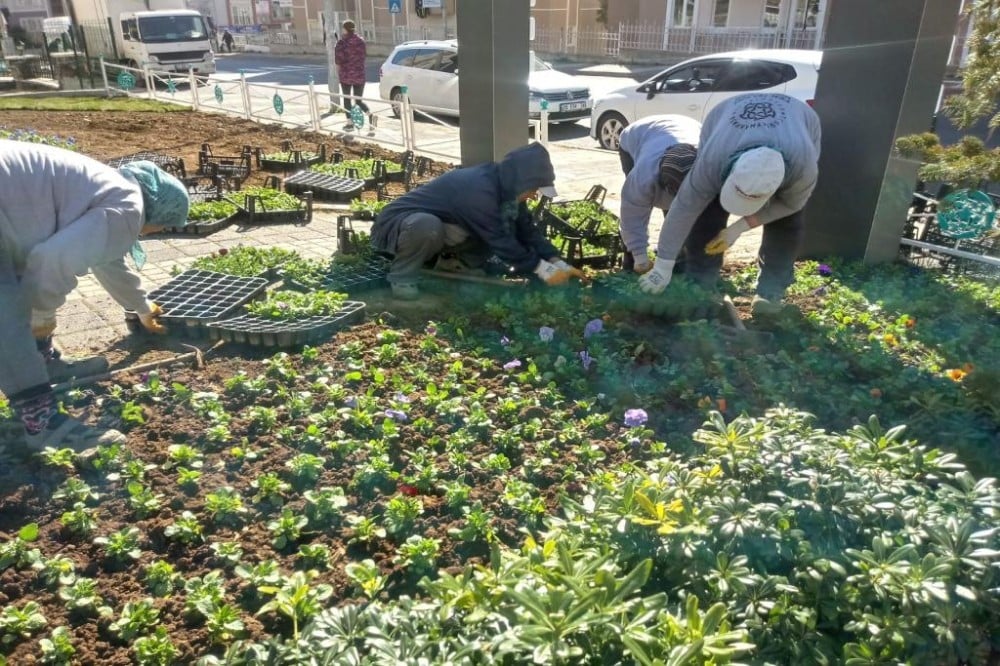 Şehir Süleymanpaşa’da yetişen çiçeklerle renkleniyor 