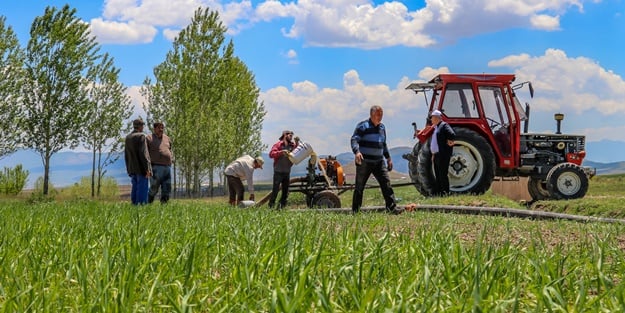 Şehirde buğdayda 85 bin ton rekolte bekleniyor
