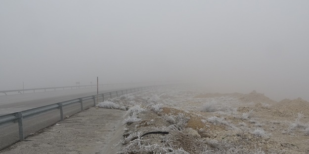 Şehirde etkili olan sis, görüş mesafesini 20 metreye kadar düşürdü