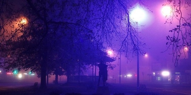 Şehirleri bitkiler aydınlatacak