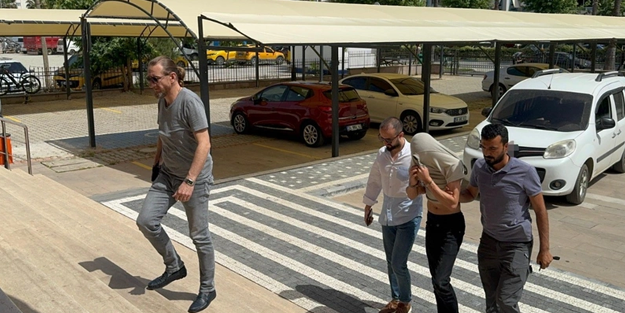 Şehit ailesine ait zeytinyağları gözlerini kırpmadan çaldılar!