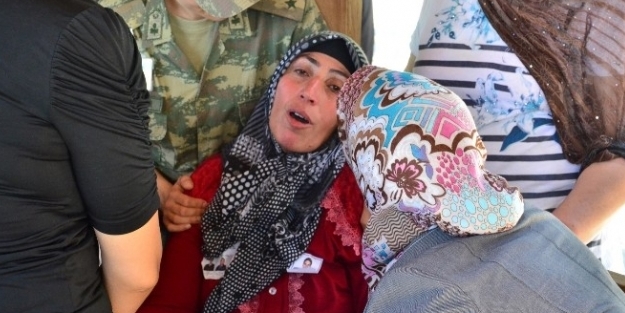 Şehit annesi: Bir oğlum daha olsa yine gönderirim
