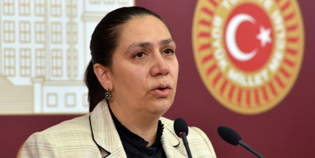 Şehit annesi Diyarbakır Milletvekili Eronat'tan Temelli'ye Arz-ı Mevud tepkisi: HDP ve PKK'nın kime hizmet ettiğini teyit etti