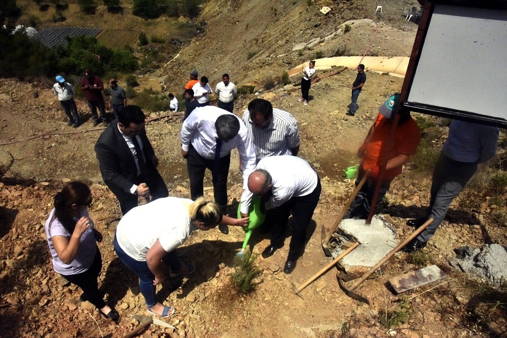 Şehit Halil İbrahim Şık Hatıra Ormanı’na fidan dikildi 