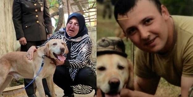 Şehit onbaşının gazi köpeği 