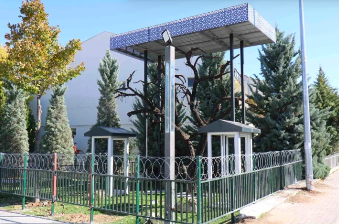 Şehitler Ağacı’ndan asker künyesi çalmışlardı! Cezaları belli oldu