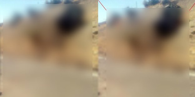 Şehitlerimizin cenazesi üstünden PKK propagandası!