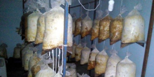 Şehri yok edecek kadar kimyasal yakalandı