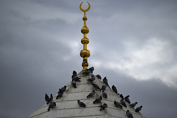 Şehrin en güzel misafirleri