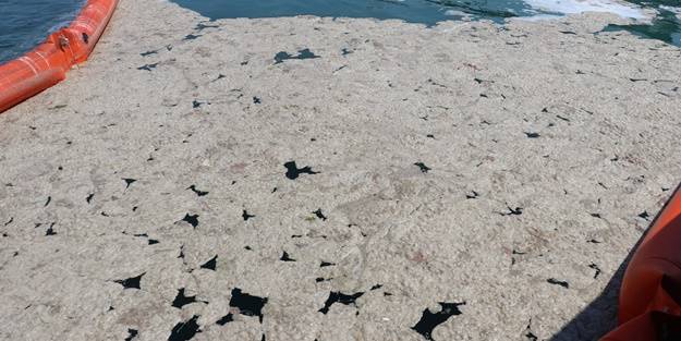 Şehrin genelinde bugüne kadar toplanan müsilaj miktarı belli oldu