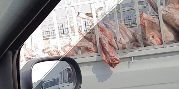 Şehrin göbeğinde skandal görüntü!