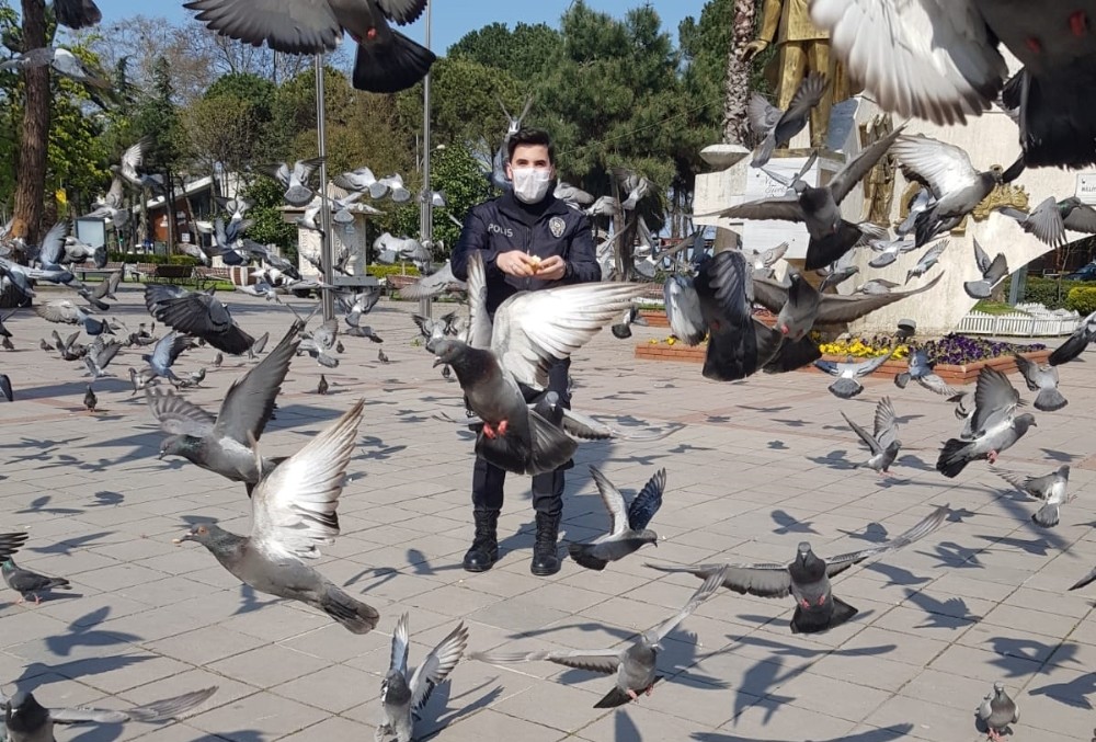 Şehrin kahramanları sokak hayvanlarını unutmadı 