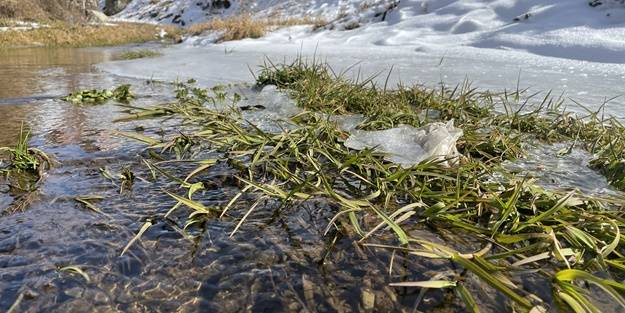 Şehrin yüksek kesimlerindeki derelerin yüzeyi buz tuttu