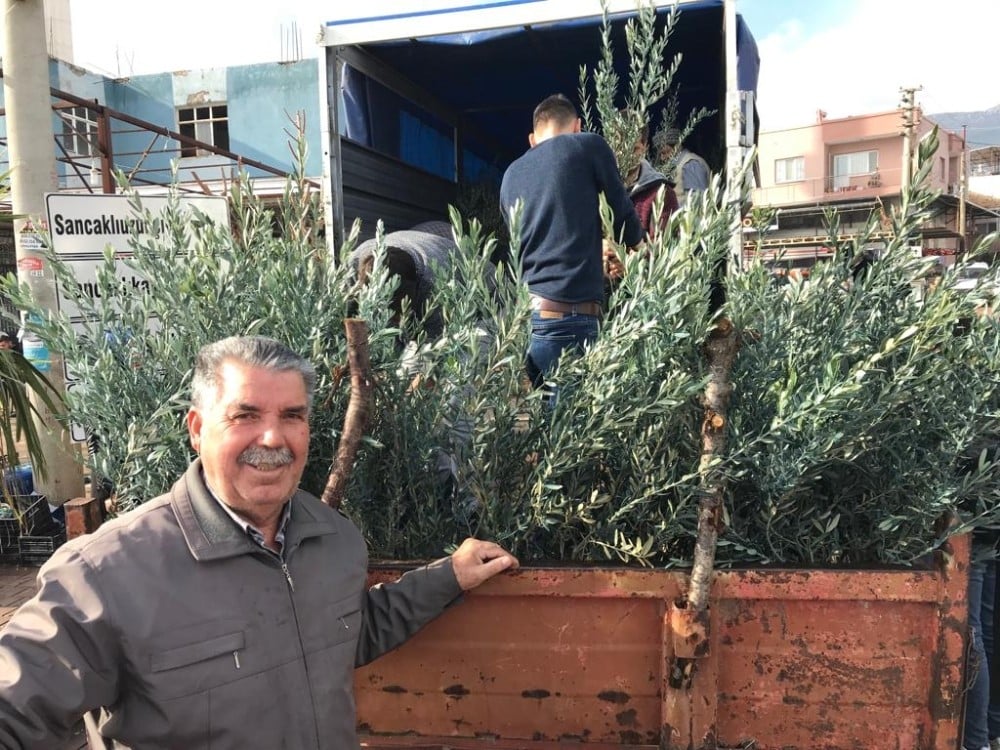 Şehzadeler Ziraat Odası’ndan üreticilere 35 bin zeytin fidanı 