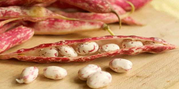 Şeker hastalarının barbunya tüketmesi için önemli nedenler