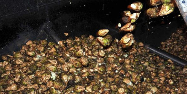  Şeker-İş Sendikası 14 fabrika için dava açtı