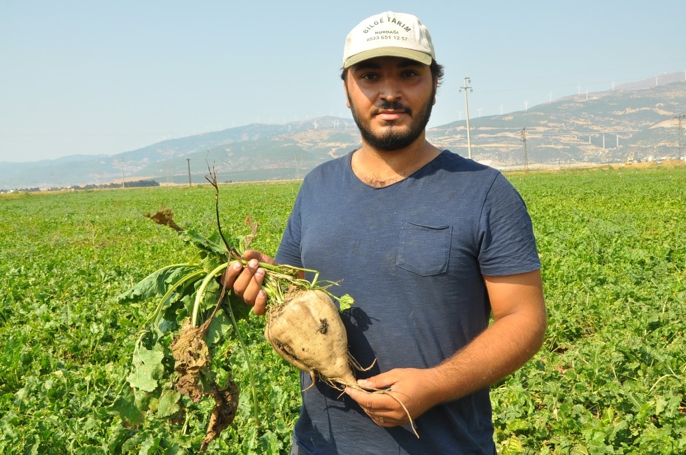 Şeker pancarında yüksek rekolte yüzleri güldürdü 