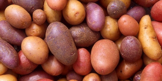 Şeker patates kilo aldırmıyor