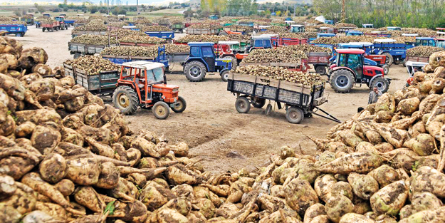 Şekerde ithalat tartışması başladı