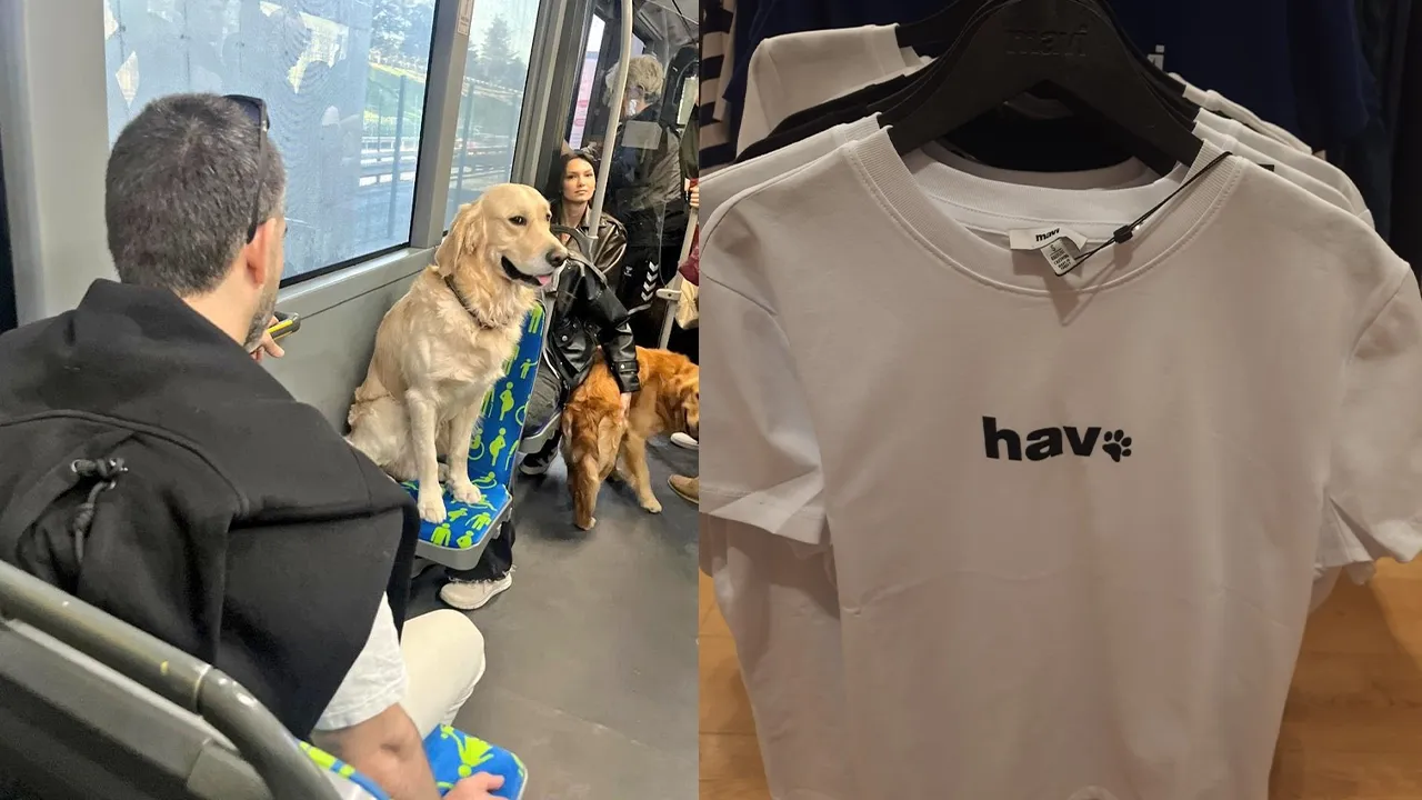 Seküler akıl tutulması: Resmen "köpek dini" inşa ediliyor!