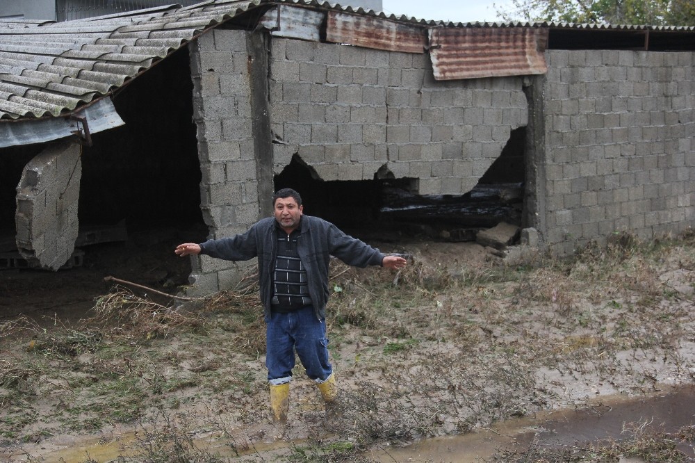 Sel ahırları yuttu, horozlar telef oldu 