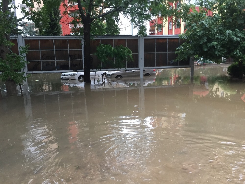 Sel asfalt, rüzgar ağaçları söktü 