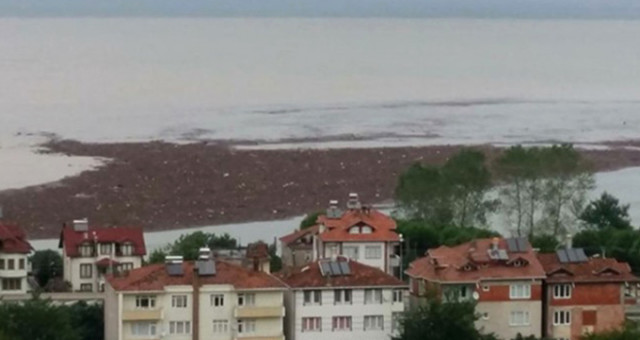 Sel felaketi sonrası Orduluları üzen görüntü