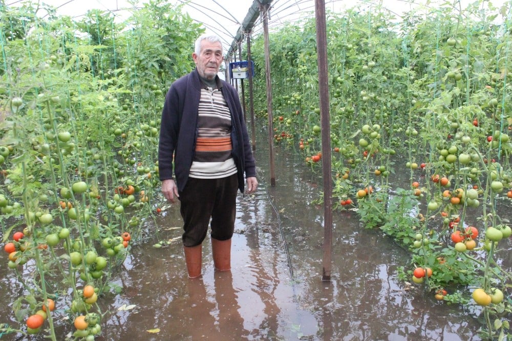 Sel Mersin’de tarım arazilerini vurdu 