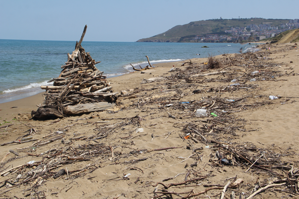 Sel, sahili bu hale getirdi