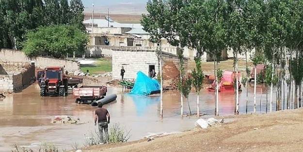 Sel sularına kapılan küçükbaş hayvanlar telef oldu