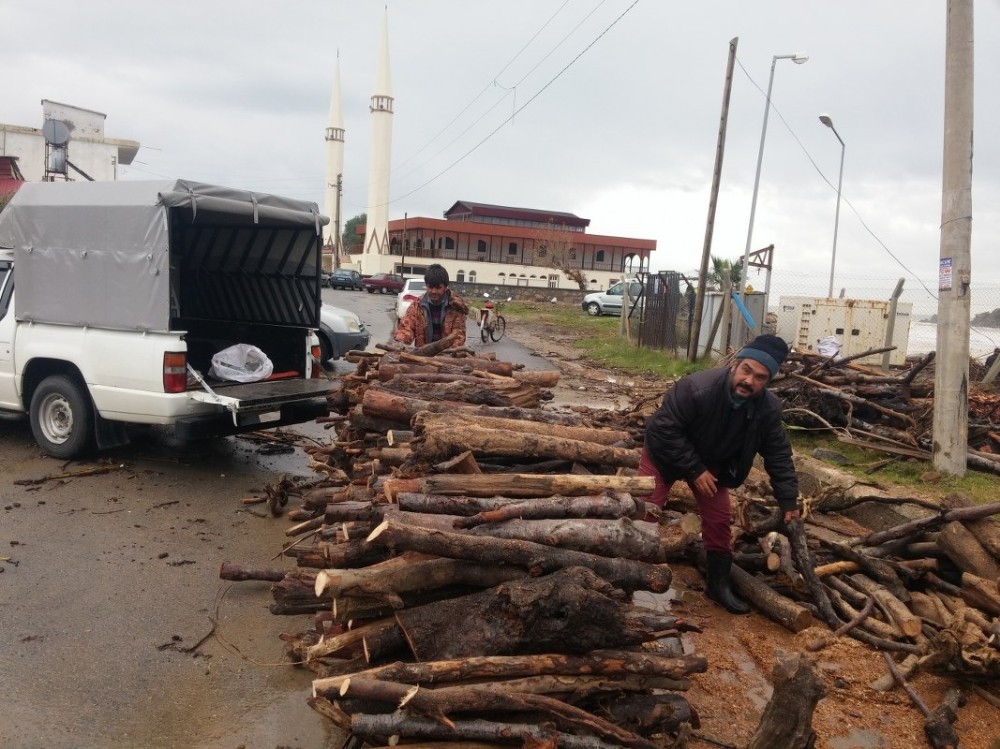 Sel sularıyla taşınan odunları topladılar 