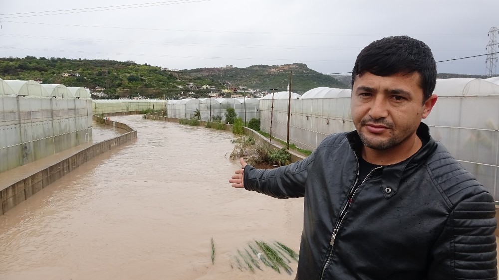Sel yol kapattı, bahçeleri seraları sular altında bıraktı 